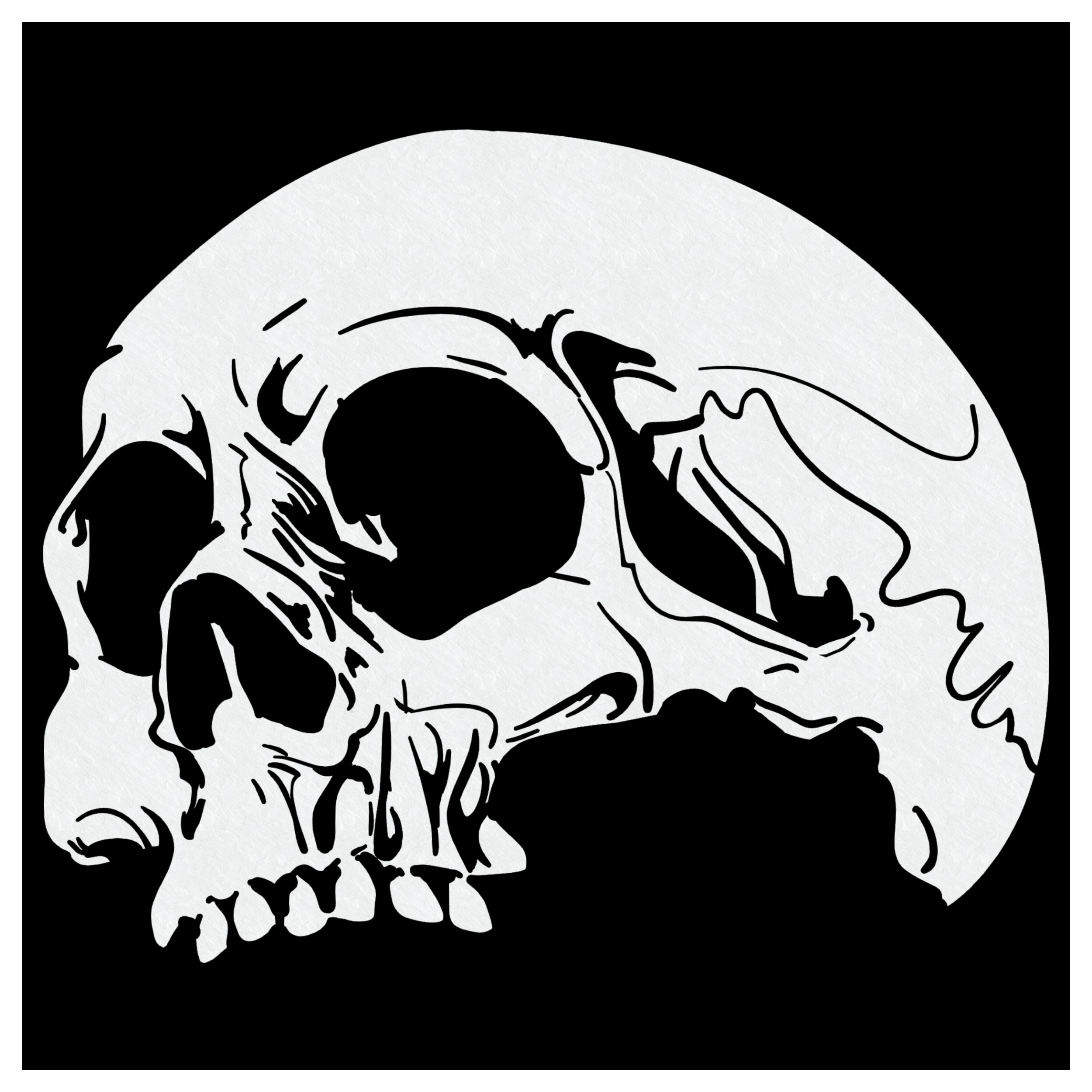 Totenköpfe Skull's Kopf Airbrush Schablone für Schädel 