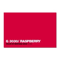 3030 - Raspberry