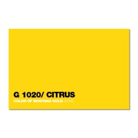 1020 Citrus