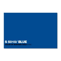 S5010 Blue