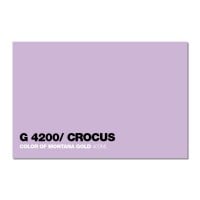 4200 - Crocus