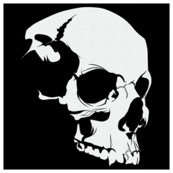 Skull #8 | Totenkopf Airbrush-Schablone | ca.15 x 12 cm