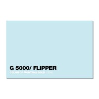 5000 - Flipper